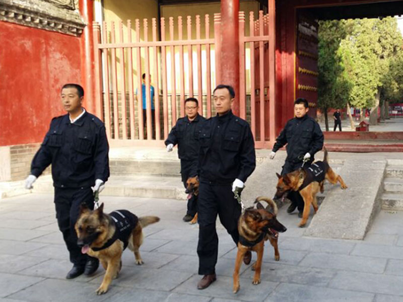 鑫安护卫犬对世界级文化遗产进行安全巡逻服务