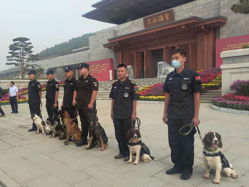 历届国际孔子文化节、尼山世界文化论坛搜爆任务